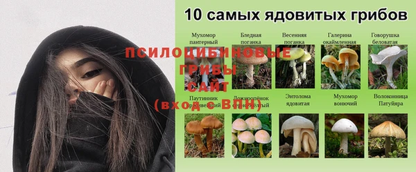 альфа пвп Вяземский
