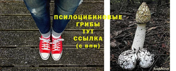 дурь Горнозаводск