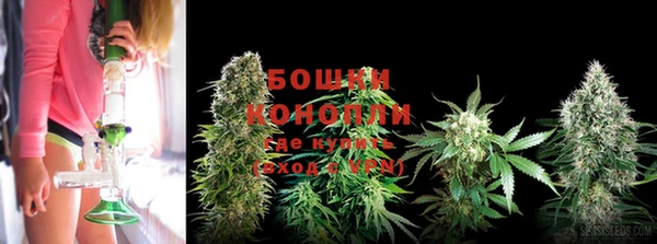 альфа пвп Вяземский