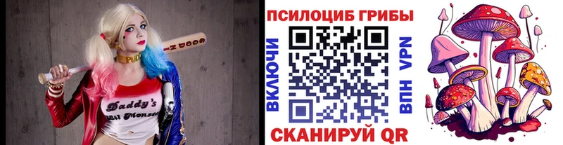ОМГ ОМГ ССЫЛКА  Тверь  Псилоцибиновые грибы Magic Shrooms  хочу наркоту 
